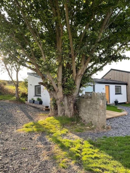 Tranquil, Secluded, Rural Cottage For Two Beaumaris Εξωτερικό φωτογραφία