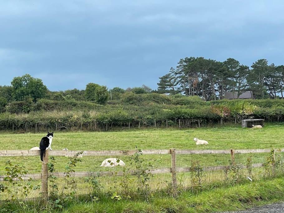 Tranquil, Secluded, Rural Cottage For Two Beaumaris Εξωτερικό φωτογραφία