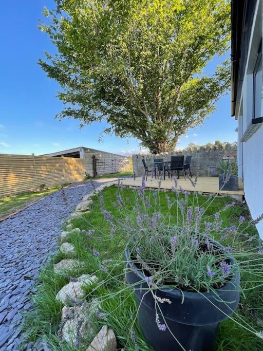 Tranquil, Secluded, Rural Cottage For Two Beaumaris Εξωτερικό φωτογραφία